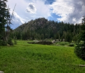 2019 Montana Folder15 022